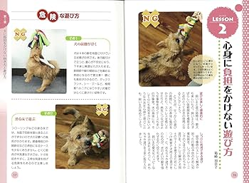 【中古】 ワンちゃんの家庭でできるケガと病気の治し方 治療費の上手な倹約法/誠文堂新光社/愛犬の友編集部 中古】 ワンちゃんの家庭でできるケガと病気の治し方 治療費の